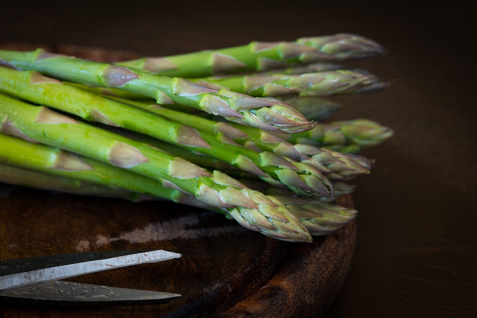 Stalks for fresh asparagus