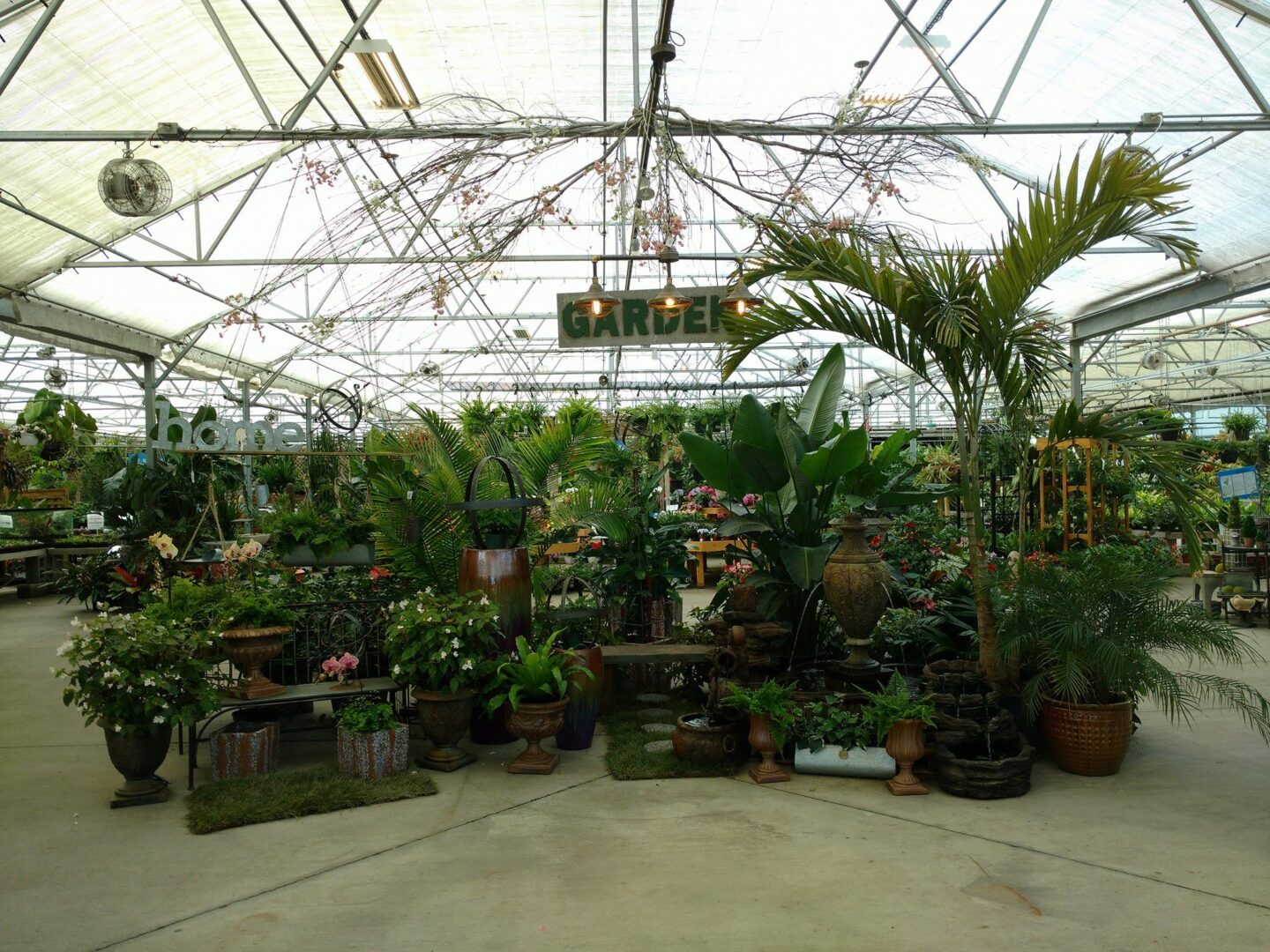 A beautiful display of houseplants at the Great Big Greenhouse