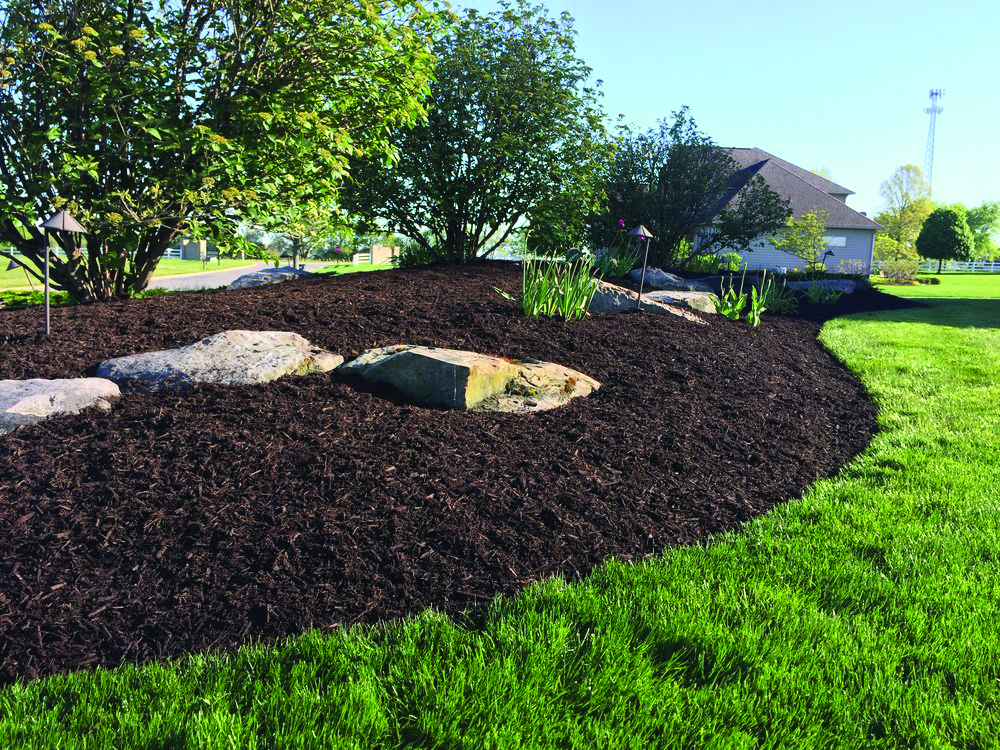 This is an example of how to apply mulch correctly