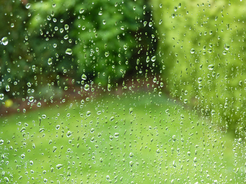 Rainfall through a window