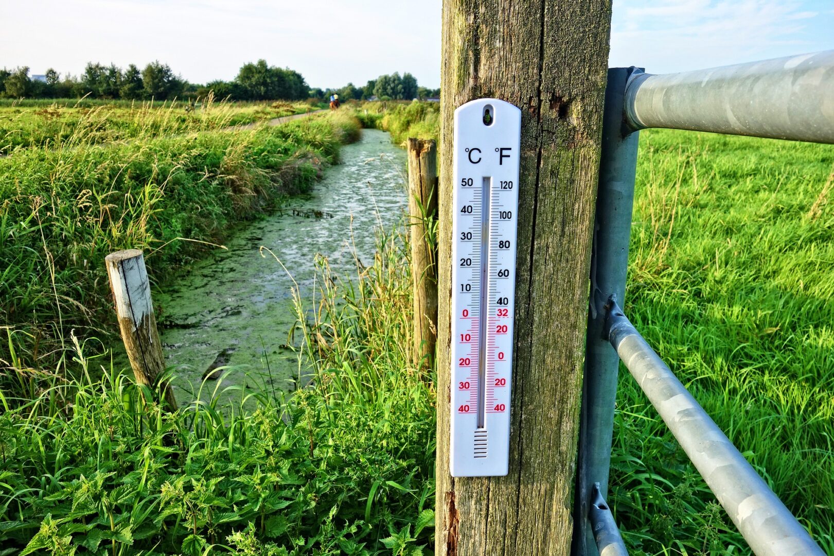 A fence thermometer in the middle of a wet field