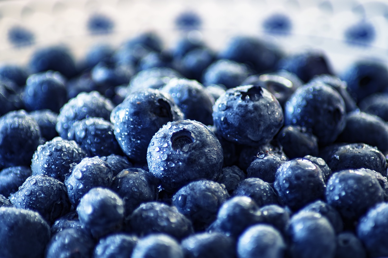 July is National Blueberry Month