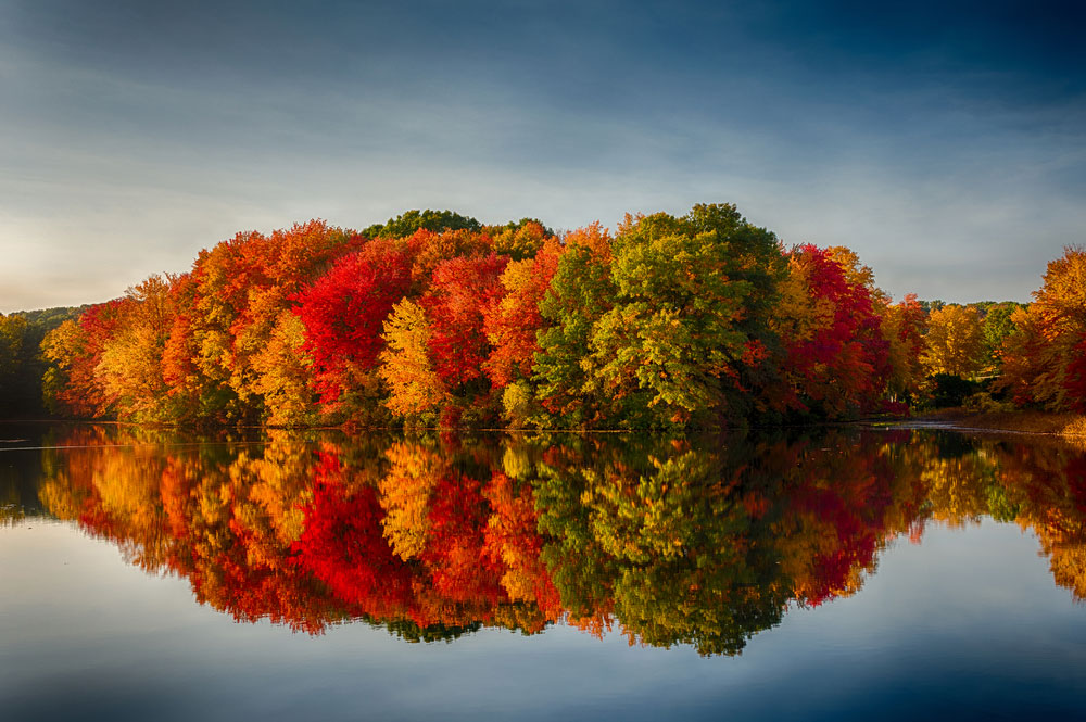 Trees with fall foliage reflecting on a pond
