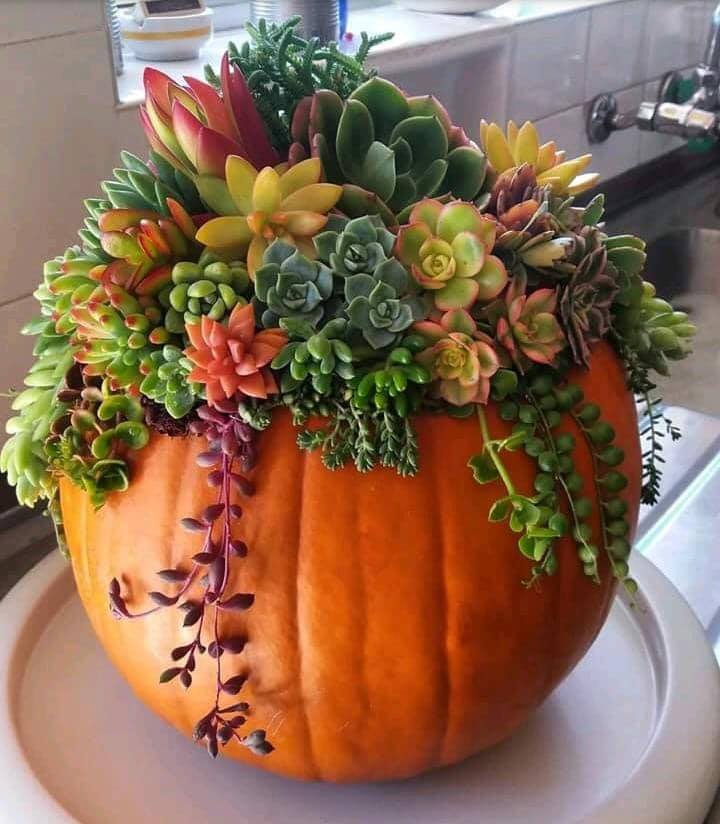A pumpkin container