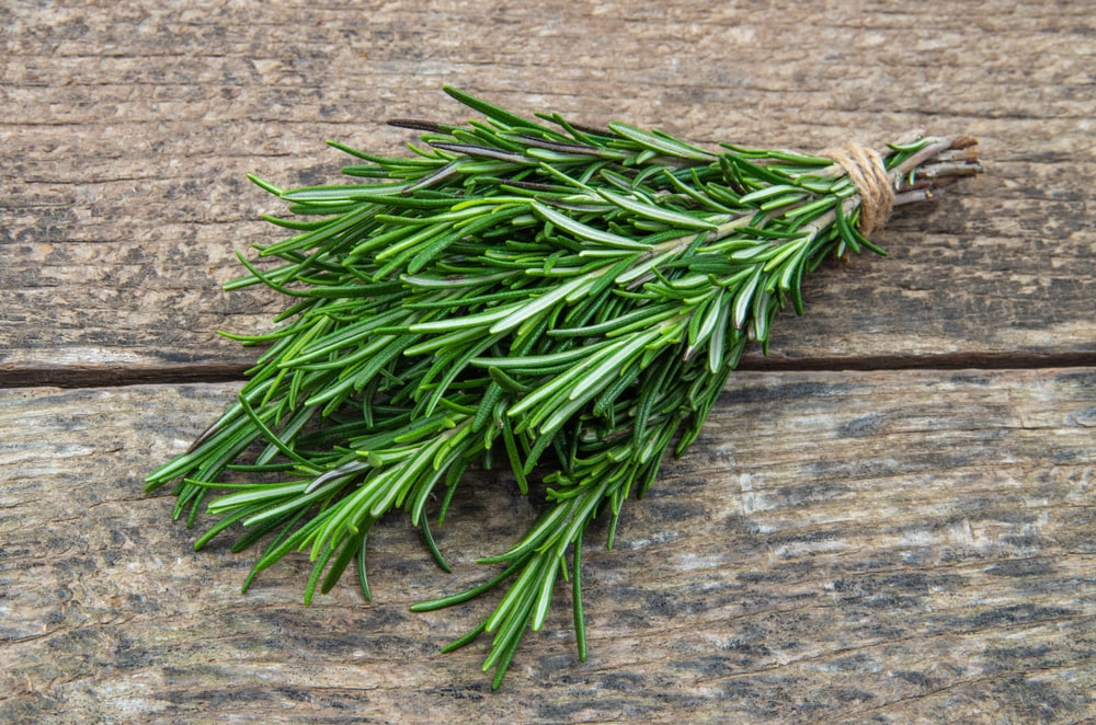 A bunch of rosemary sprigs