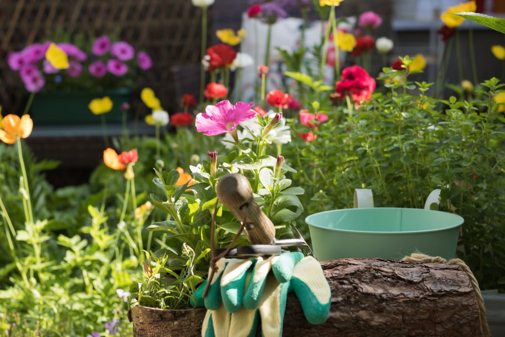 April is National Gardening Month