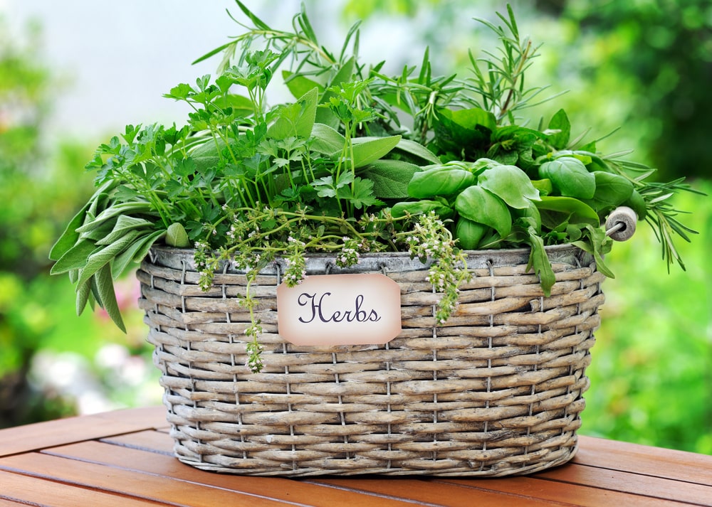 Homegrown herbs