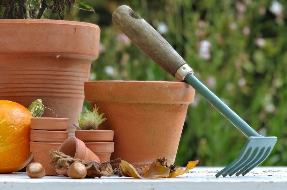 Preparing your garden for fall is easy to do