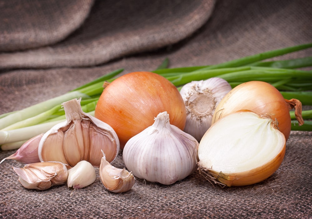 October is the time to plant onions and garlic