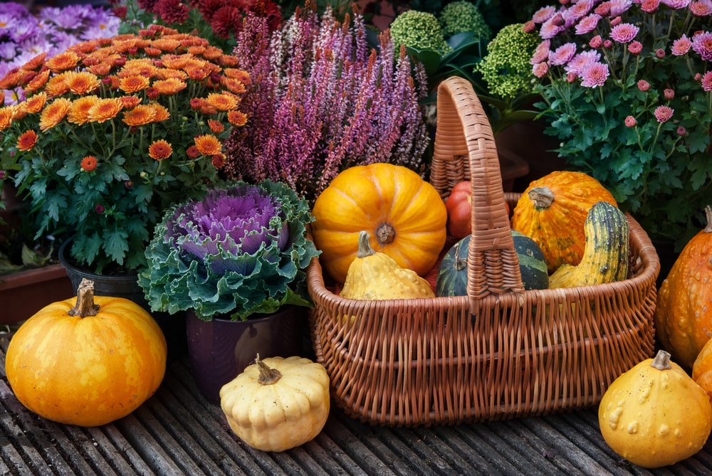 Here are some October gardening chores