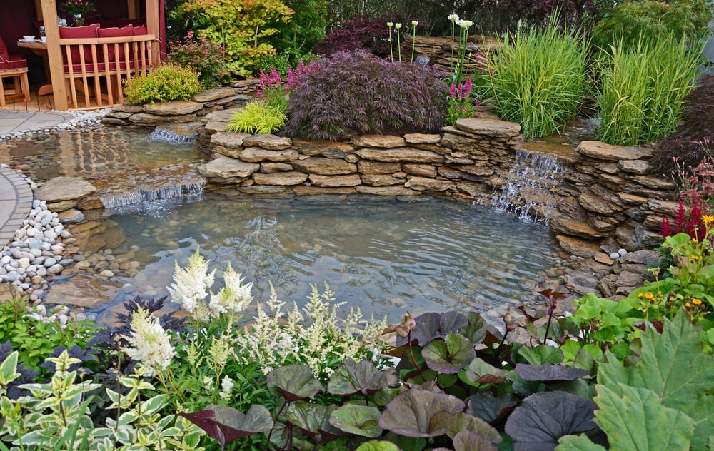 Now is the time to clean out your water garden in preparation for the winter