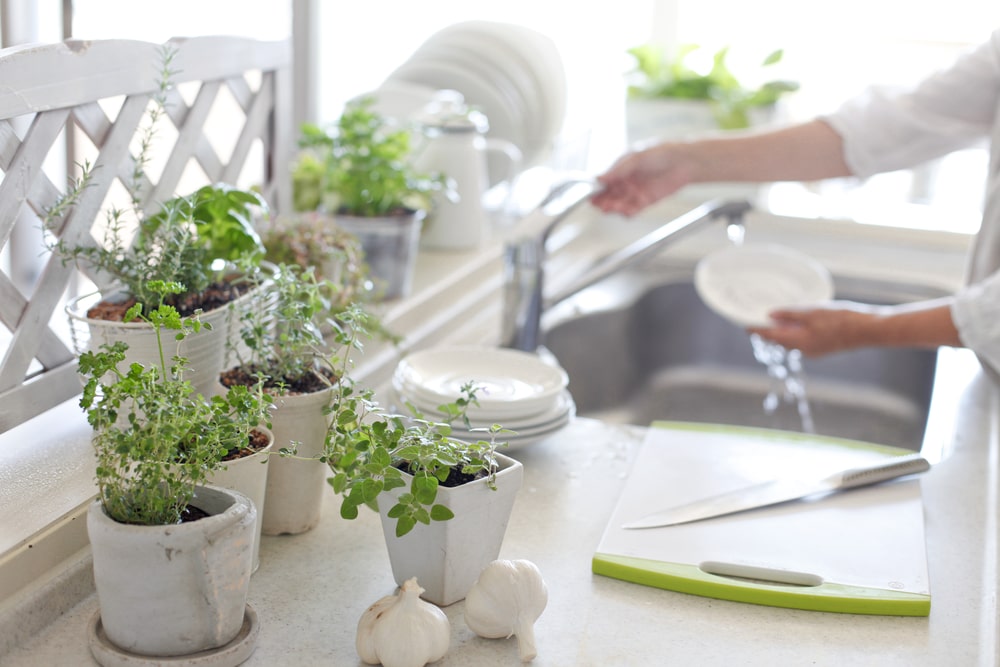 Growing herbs indoors can add fresh flavor to your winter meals