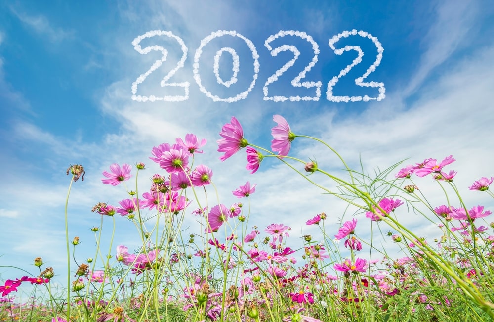 Start your 2022 gardening resolutions now!