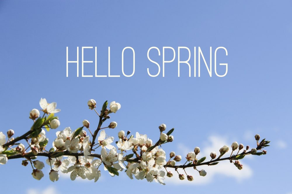 Hello spring and welcome the spring equinox