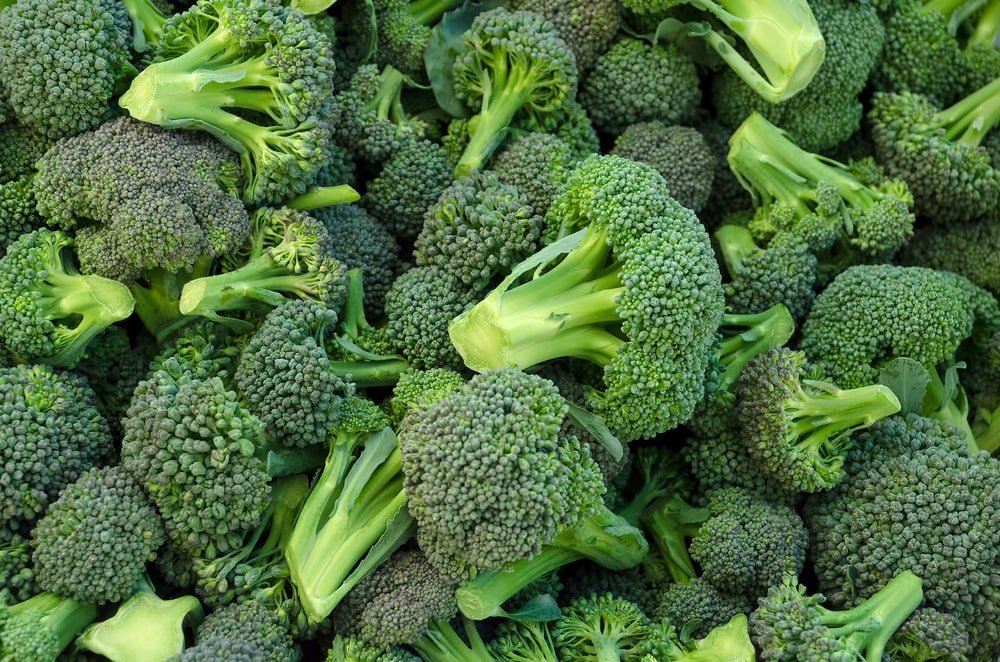 A bunch of fresh broccoli heads