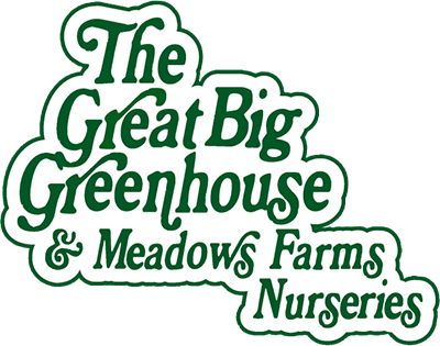 The Great Big Greenhouse Gardening Blog