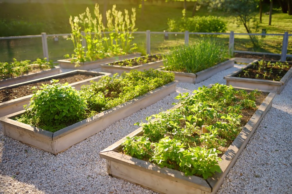 Sustainable gardening is key to a better environment