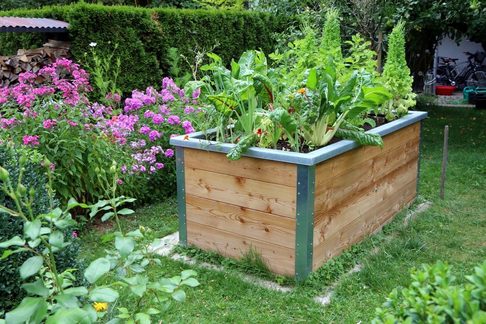 Raised beds are a great gardening trend to explore