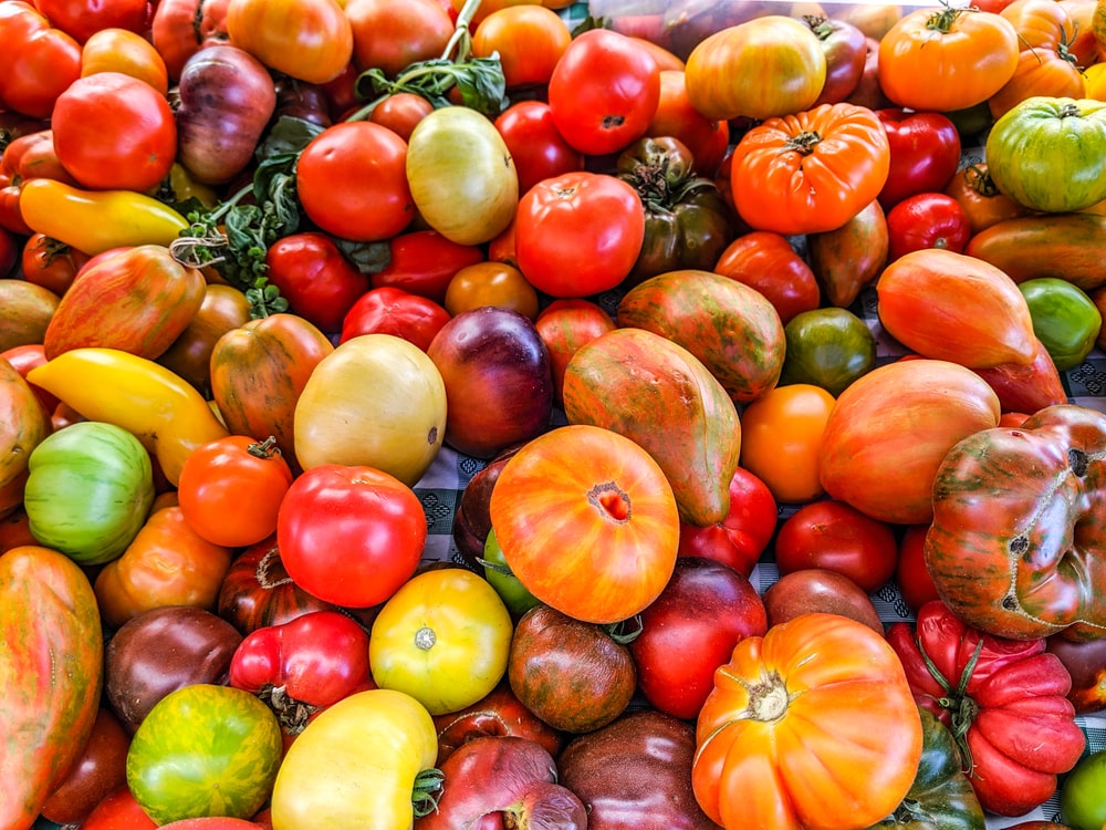 A bountiful and colorful collection of heirloom tomatoes