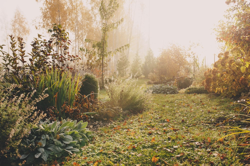 It's time to begin prepping your garden for winter