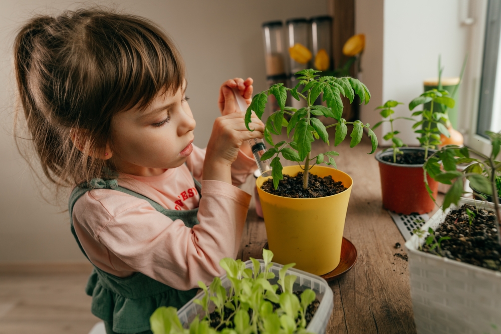 Windowsill gardening