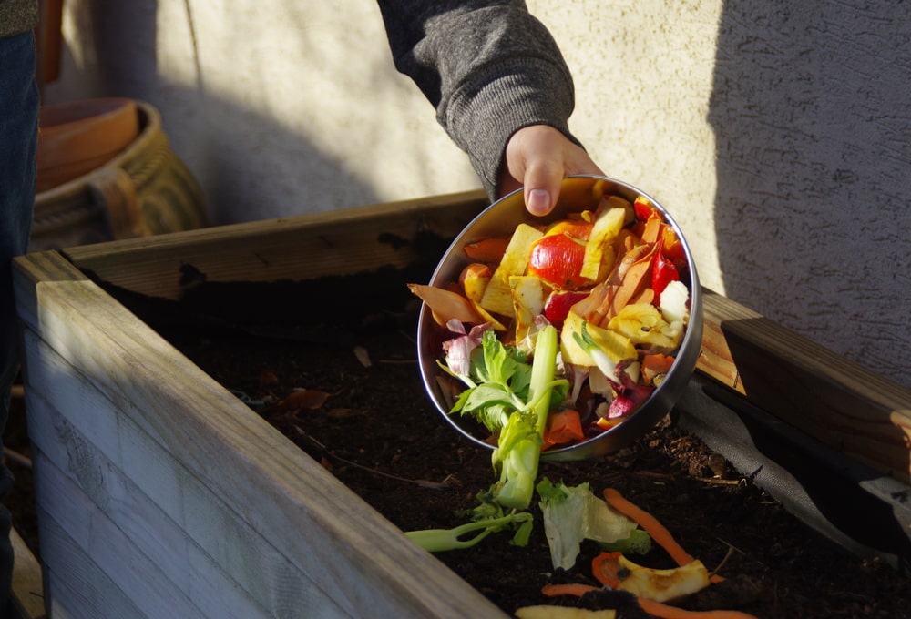 Compost not only improves your garden soil, but also helps to improve the environment.