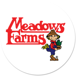 Meadows Farms home
