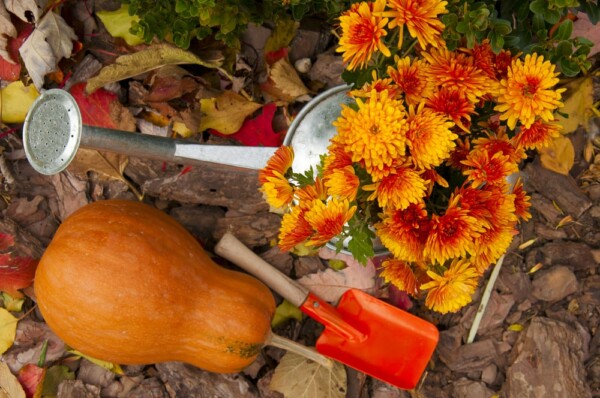 The benefits of fall gardening