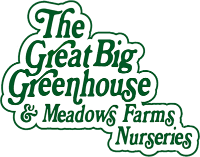 The Great Big Greenhouse and Meadows Farms Nurseries