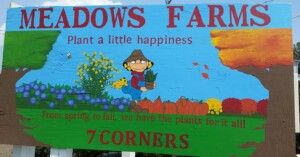 Meadows Farms Seven Corners Plant a Little Happiness