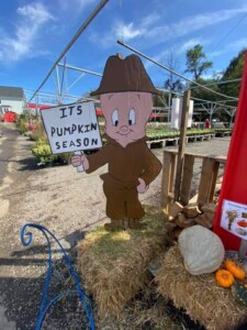 Elmer Fudd cutout at Meadows Farms in Seven Corners