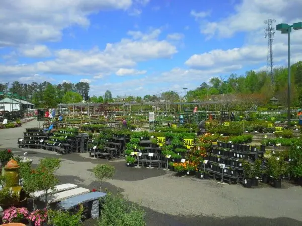 Great Big Greenhouse in Richmond, VA