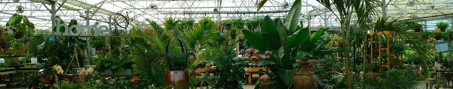 The Great Big Greenhouse – Serving the Greater Richmond Metropolitan Area Since 1976