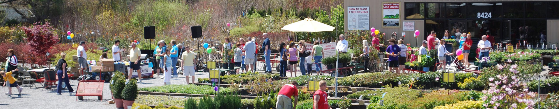 Events and activities at Meadows Farms Nurseries