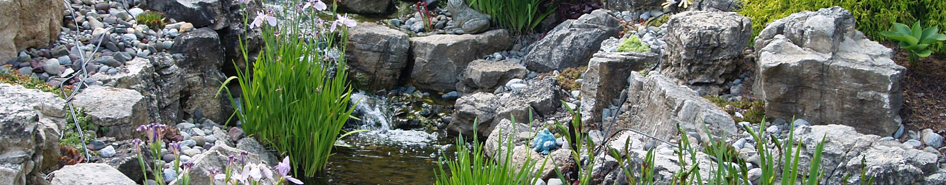 Garden ponds and water features