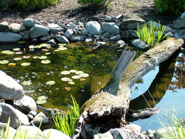 Customer water feature pond