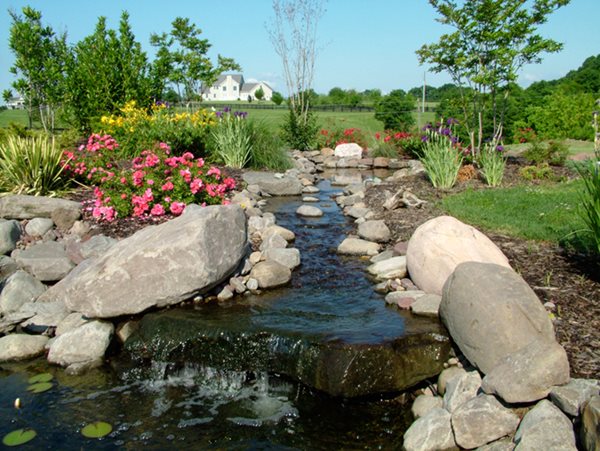 Water feature with pond and waterfall
