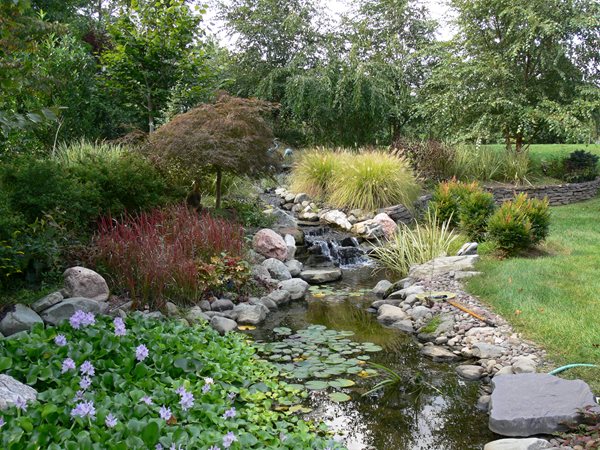 Custom water feature and pond