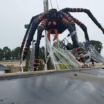 Giant Spider at The Great Big Greenhouse