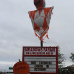 Giant Pumpkin Man at Leesburg