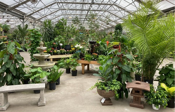 A houseplant display at the Great Big Greenhouse