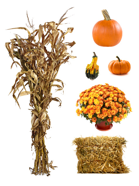 Items available in our Fall Decorating Standard Package