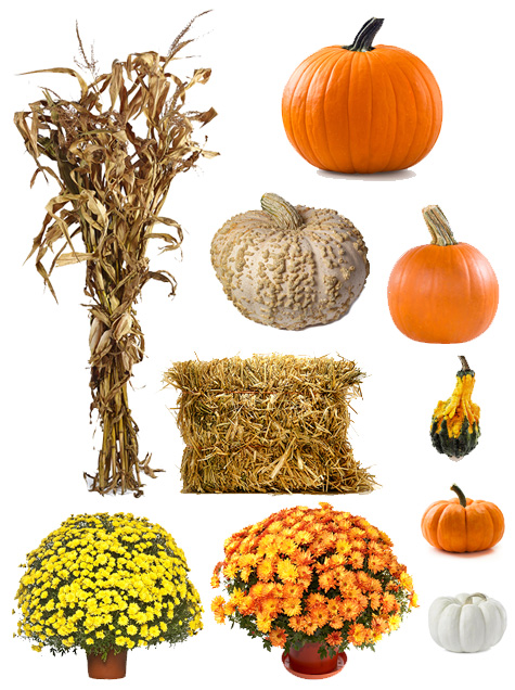 Items available in our Fall Decorating Premium Package