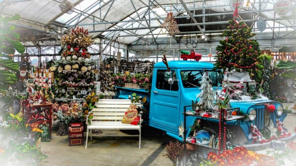 Blue truck decked out in Christmas cheer