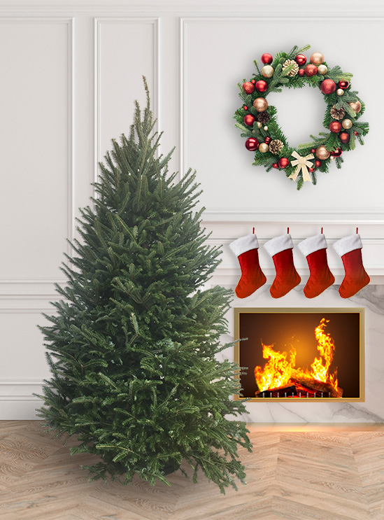 A fraser fir tree next to a roaring fireplace