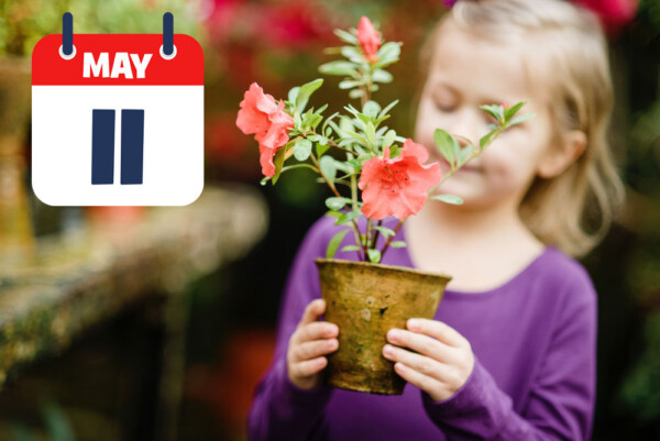 Kids Event Pot a Flower for Mom on Saturday, May 11th