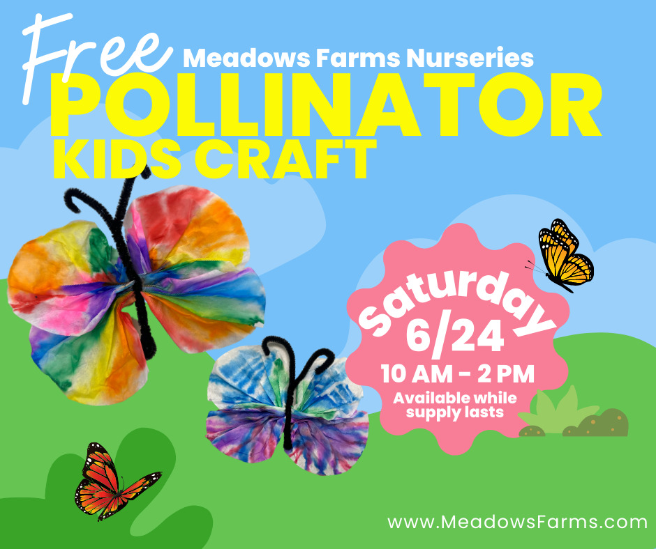 Free Pollinator Kids Craft Saturday 6/24 from 10 am - 2 pm