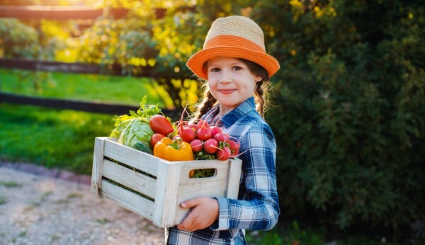 A child with a box of fresh vegetables