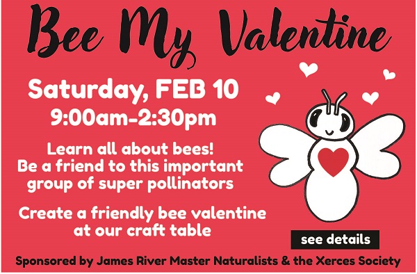 Bee My Valentine Saturday, FEB 10 9:00am to 2:30pm Learn all about bees! Be a friend to this important group of super pollinators. Create a friendly bee valentine at our craft table. Sponsored by James River Master Naturalists and the Xerces Society