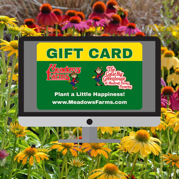 Get a Meadows Farms digital gift card